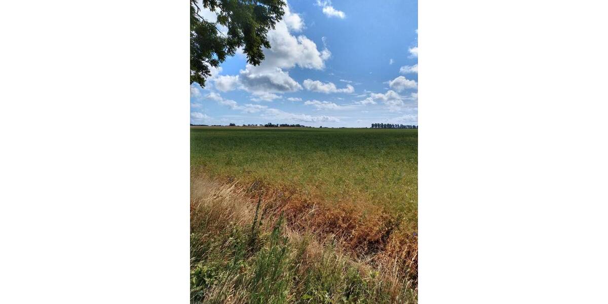 Grundstück in Stadtnähe zimmer