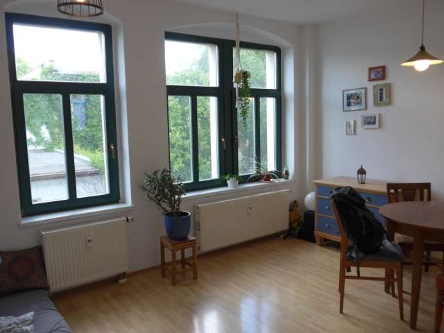 Wohnung zum Mieten in Dresden 311 € 28.32 m²