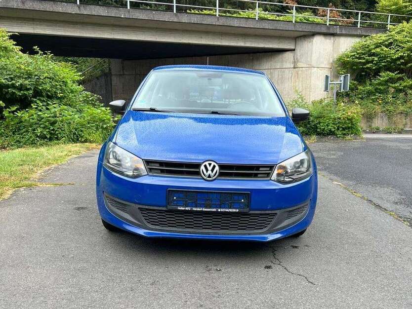 Polo