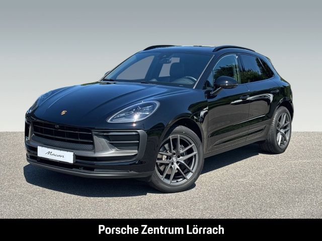 Macan