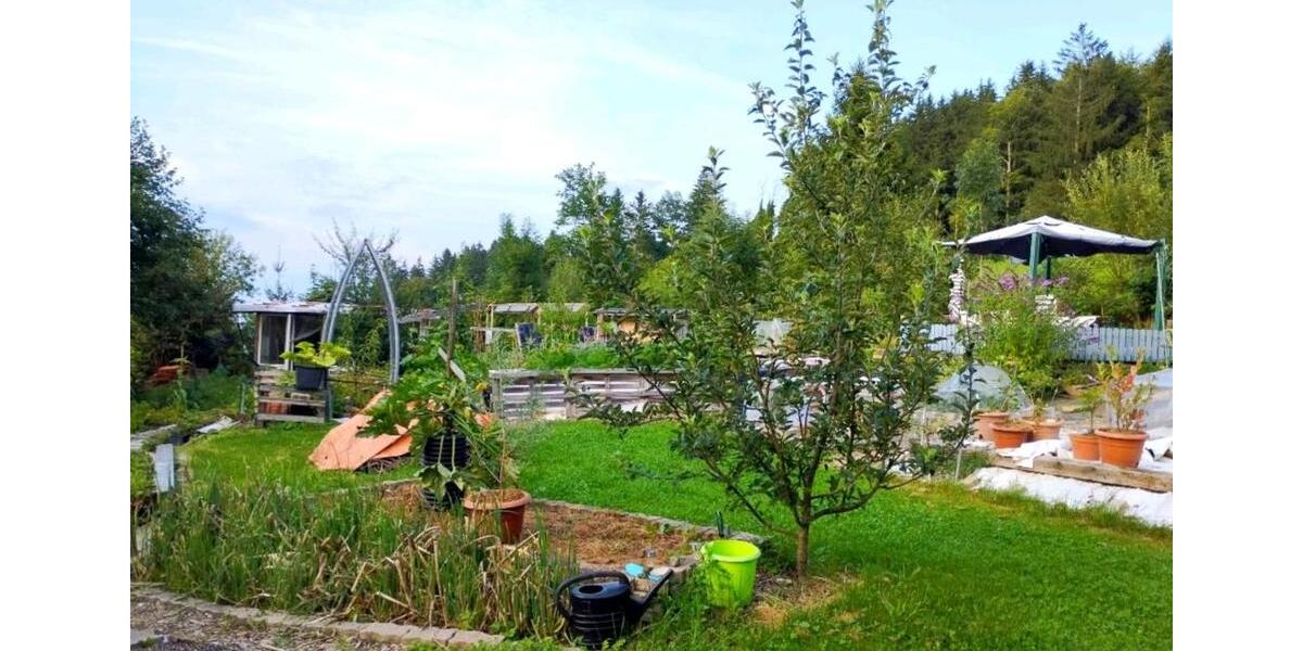 Bauernhaus, Landhaus Sulzberg - 10 Zimmer, 245 m&sup2;, 499.000&euro; | Angebot:26044942