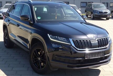 Skoda Kodiaq 173.000 km 18.495 &euro; Zimmern 78658