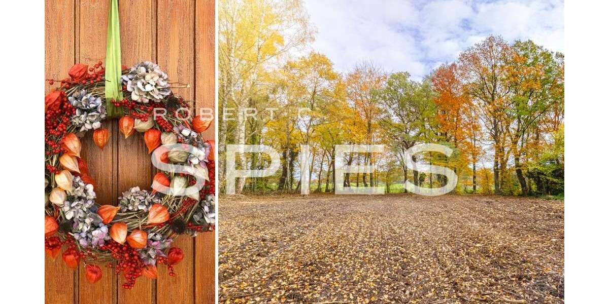 Grundstück zu verkaufen in Osterholz-Scharmbeck 249.000 € 3519 m² zimmer