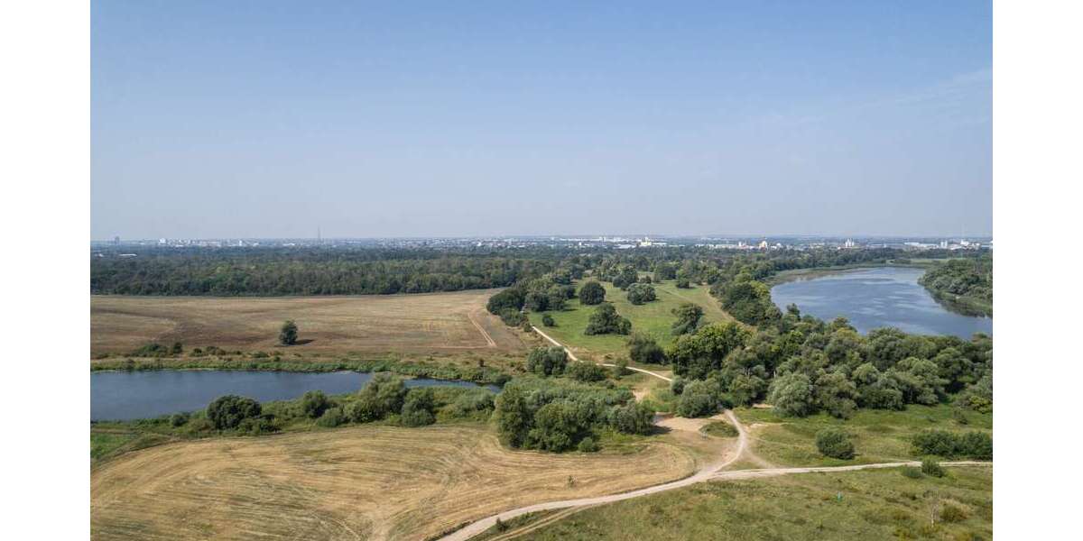 Grundstück zu verkaufen in Biederitz 189.000 € 1572 m² zimmer