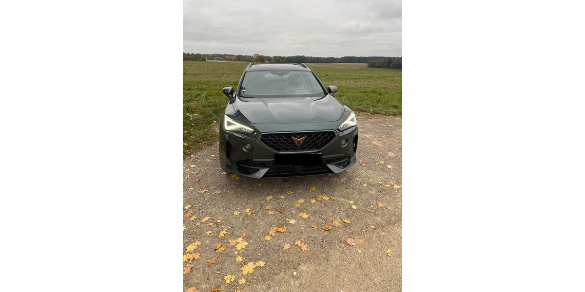 Cupra Formentor 53.000 km 28.650 € Dietenheim 89165
