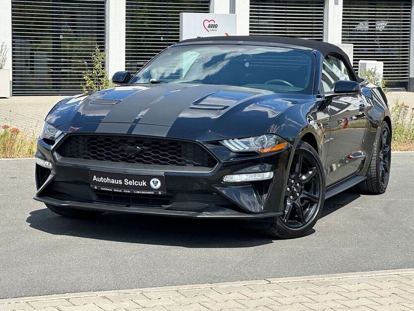 Mustang