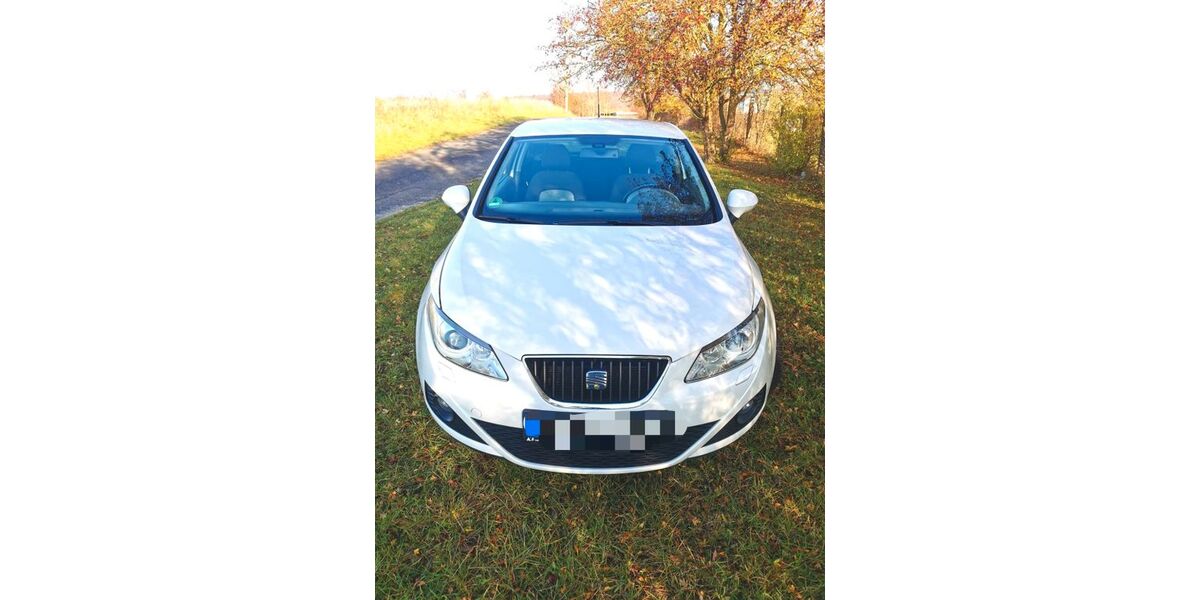 Seat Ibiza 176.832 km 4.500 &euro; Neubrandenburg 17034