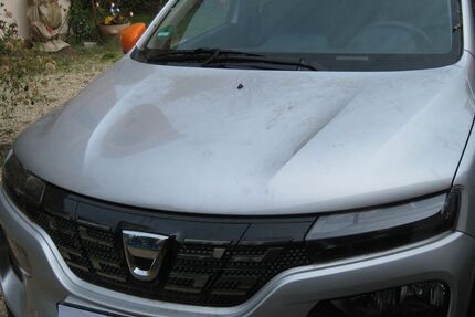 Dacia Spring 1.100 km 12.999 &euro; Leipzig 04229