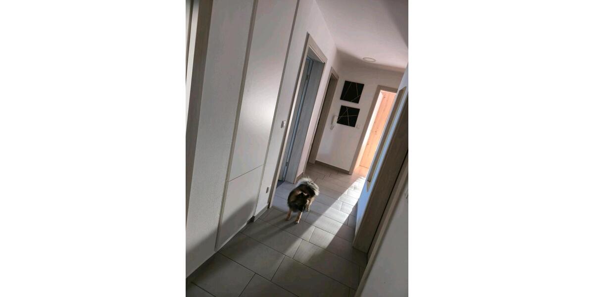 Dachgeschoßwohnung Wallersdorf - 3 Zimmer, 90 m&sup2;, 850&euro; | Angebot:25759676