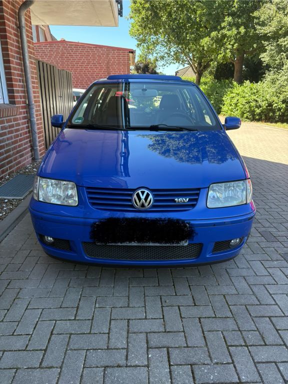 Polo