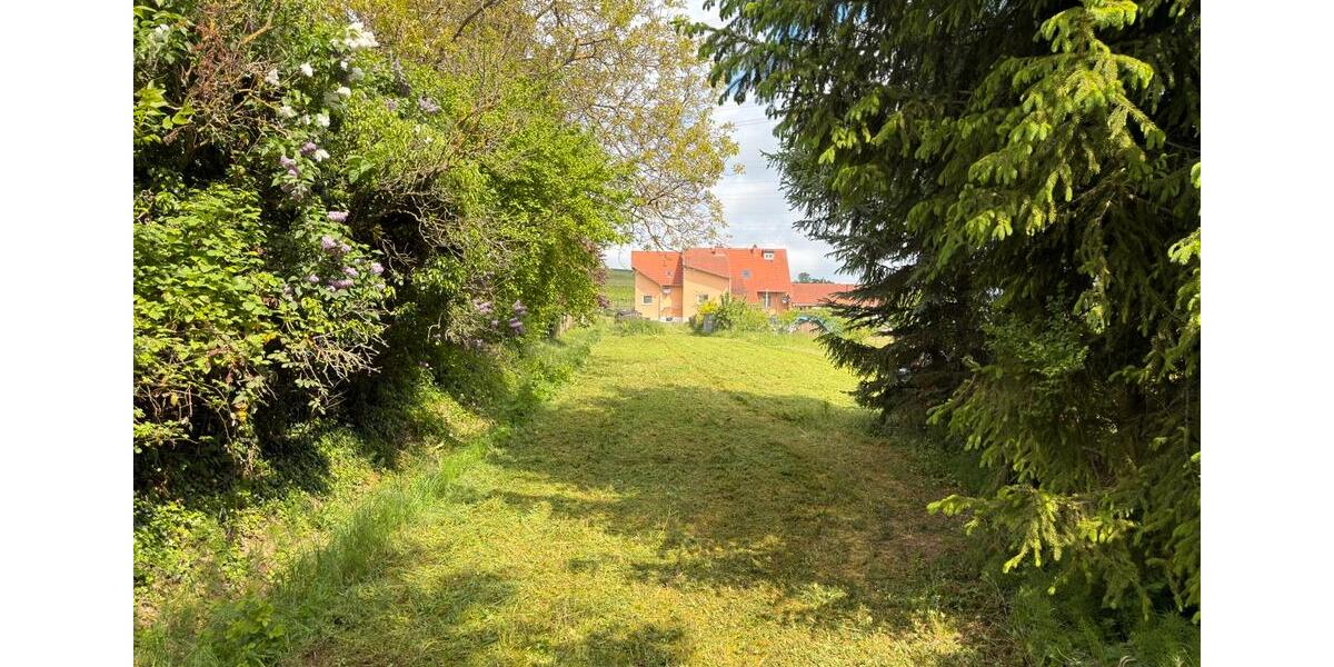 Grundstück Alzey - 7.788&euro; | Angebot:26459132