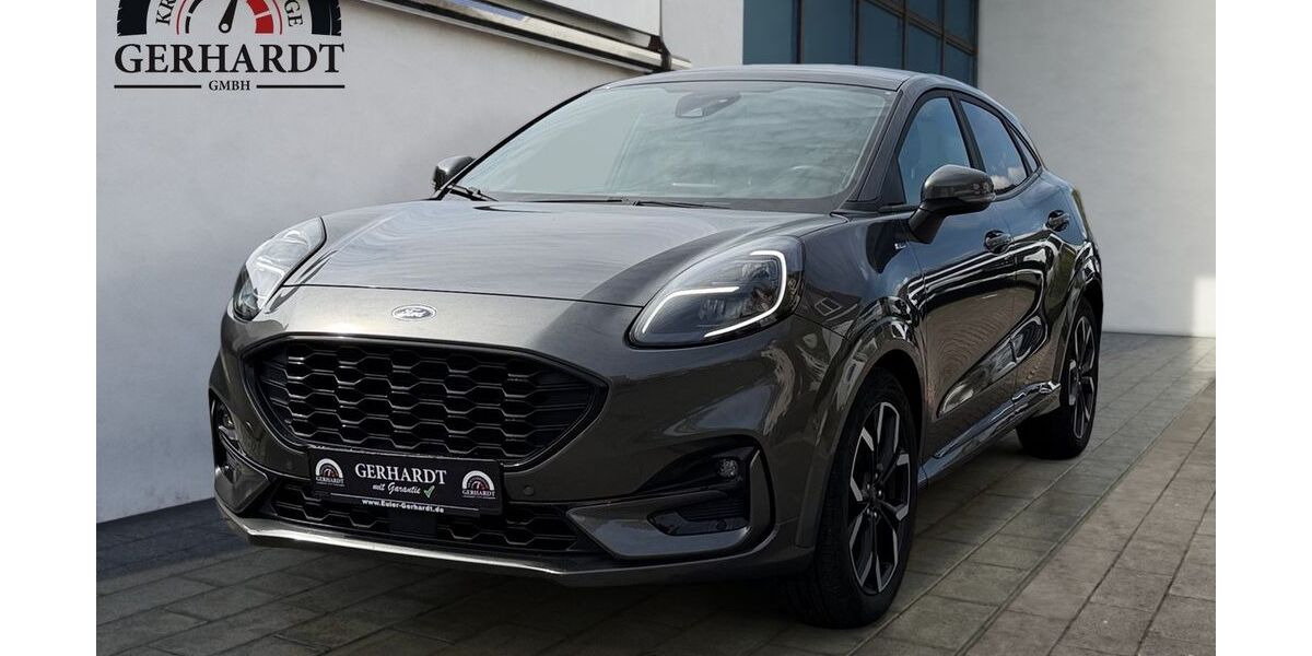 Ford Puma 68.869 km 17.000 &euro; Bad Soden-Salmünster 63628