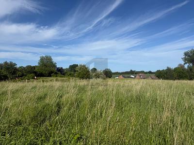 VIELE MÖGLICHKEITEN IN ENTSPANNTER ORTSLAGE - Grundstück Riepsdorf | Angebot:26762840