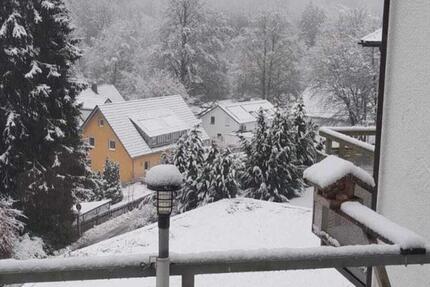 Schöne 1 Zimmer Wohnung mit EBK und Balkon in Schönmünzach 1 zimmer