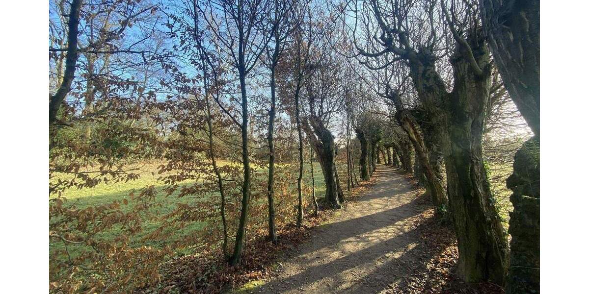 Doppelhaushälfte Düsseldorf Kalkum - 3 Zimmer, 100 m&sup2;, 790.000&euro; | Angebot:24311901