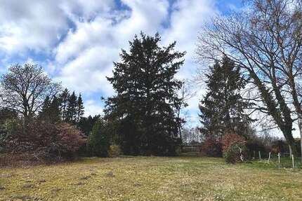 Grundstück zu verkaufen in Buchholz in der Nordheide 354.000 € 1651 m²