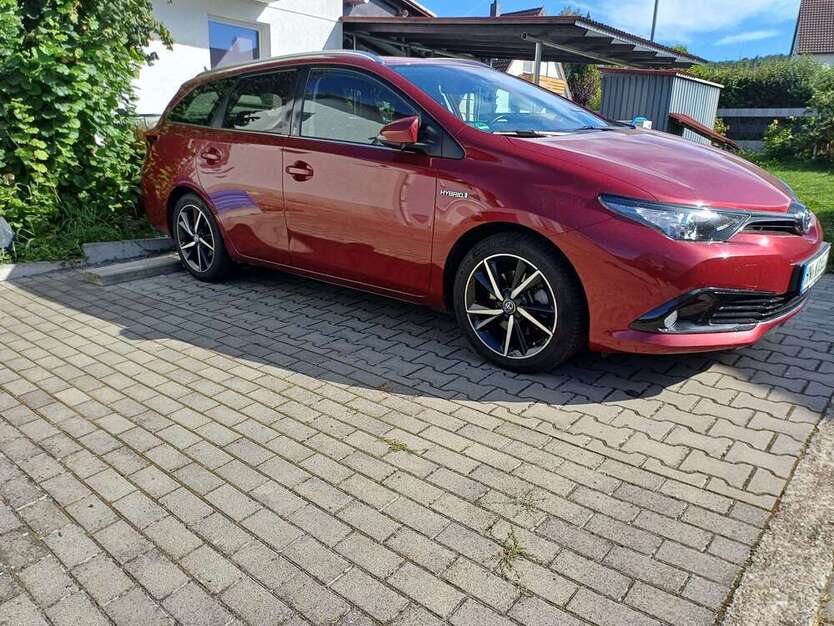 Auris