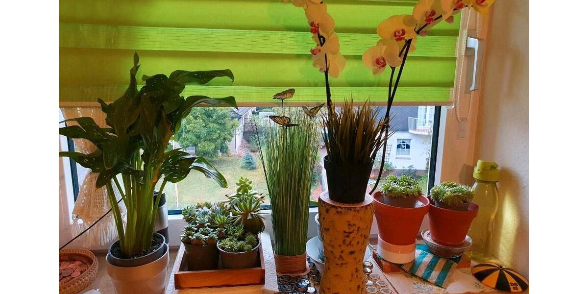 Etagenwohnung Lüchow (Wendland) - 3 Zimmer, 77 m&sup2;, 120.000&euro; | Angebot:26679698