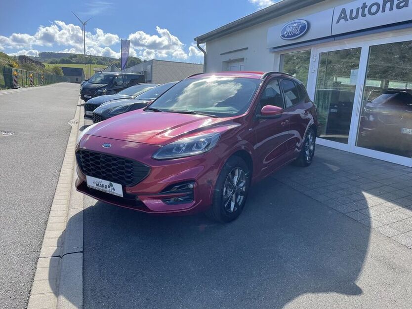 Kuga
