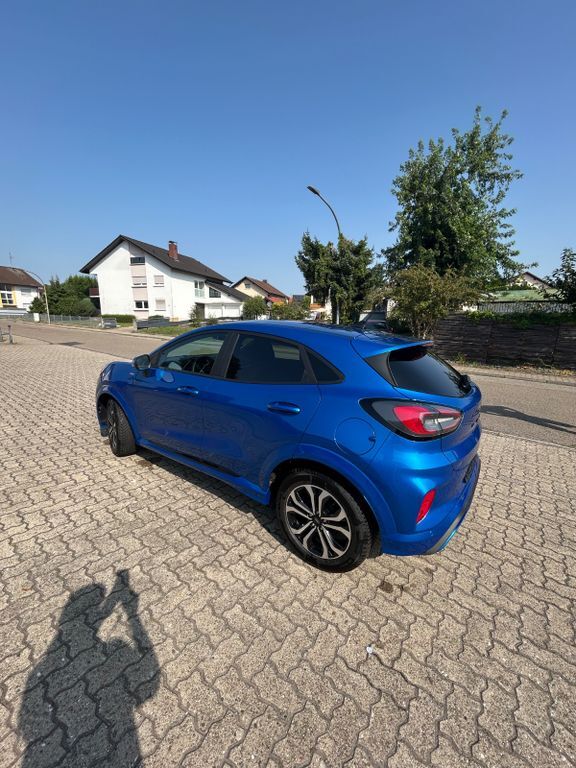 Ford Puma 1.600 km 18.999 € Rauenberg 69231