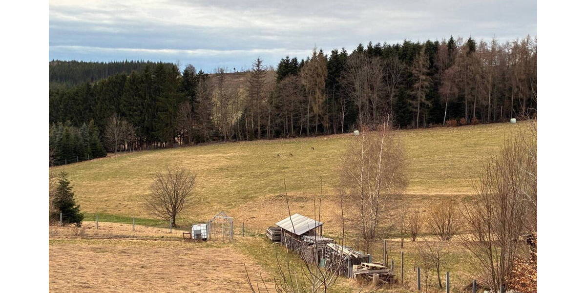 Einfamilienhaus Enchenreuth Enchenreuth - 4 Zimmer, 128 m&sup2;, 240.000&euro; | Angebot:26106476