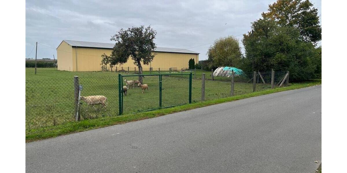 Grundstück Nichtewitz Nichtewitz - 20.000&euro; | Angebot:25679415