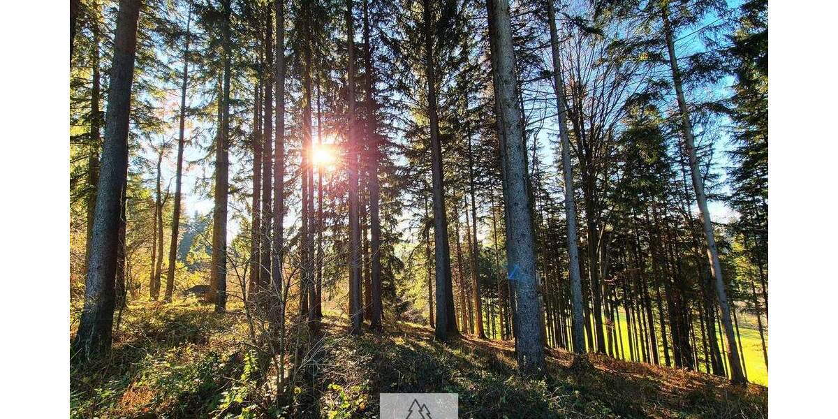 Grundstück Eggenthal Völken - 84.900&euro; | Angebot:25689866