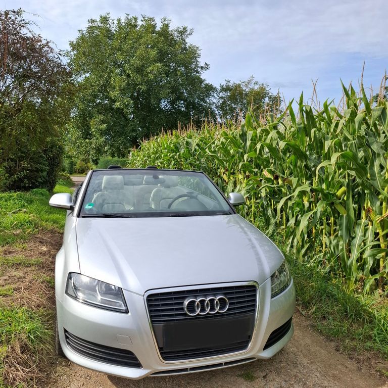 A3