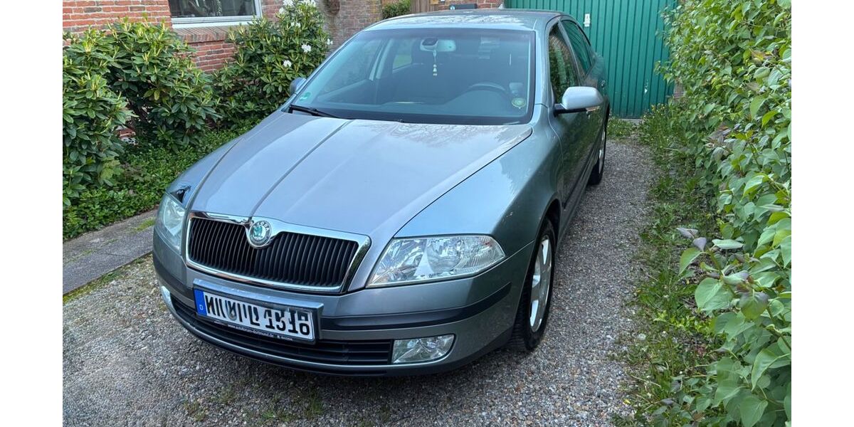 Skoda Octavia 270.000 km 2.480 &euro; Großenwiehe 24969
