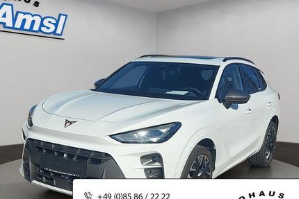 Cupra Terramar 12.500 km 39.790 &euro; Hauzenberg 94051