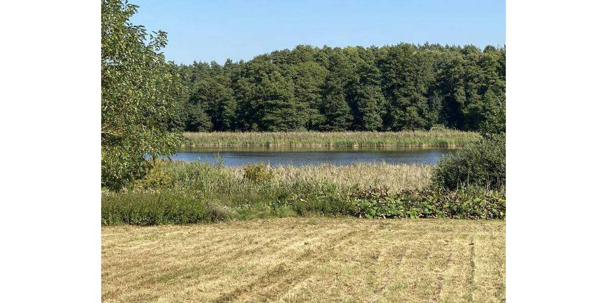 Gewerbeobjekt Kargow / Federow Federow - 1 Zimmer, 1.290.000&euro; | Angebot:25665093