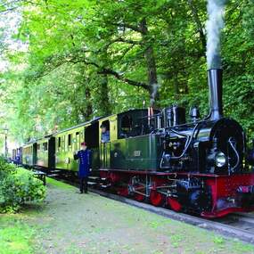 Dampfzugfahrt mit der Museums-Eisenbahn (Hin- und Rückfahrt) 24.05.2026 Bahnhof Bruchhausen-Vilsen