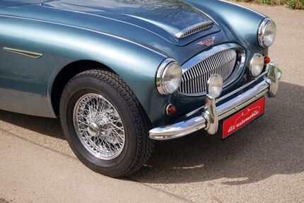 Austin Healey Andere