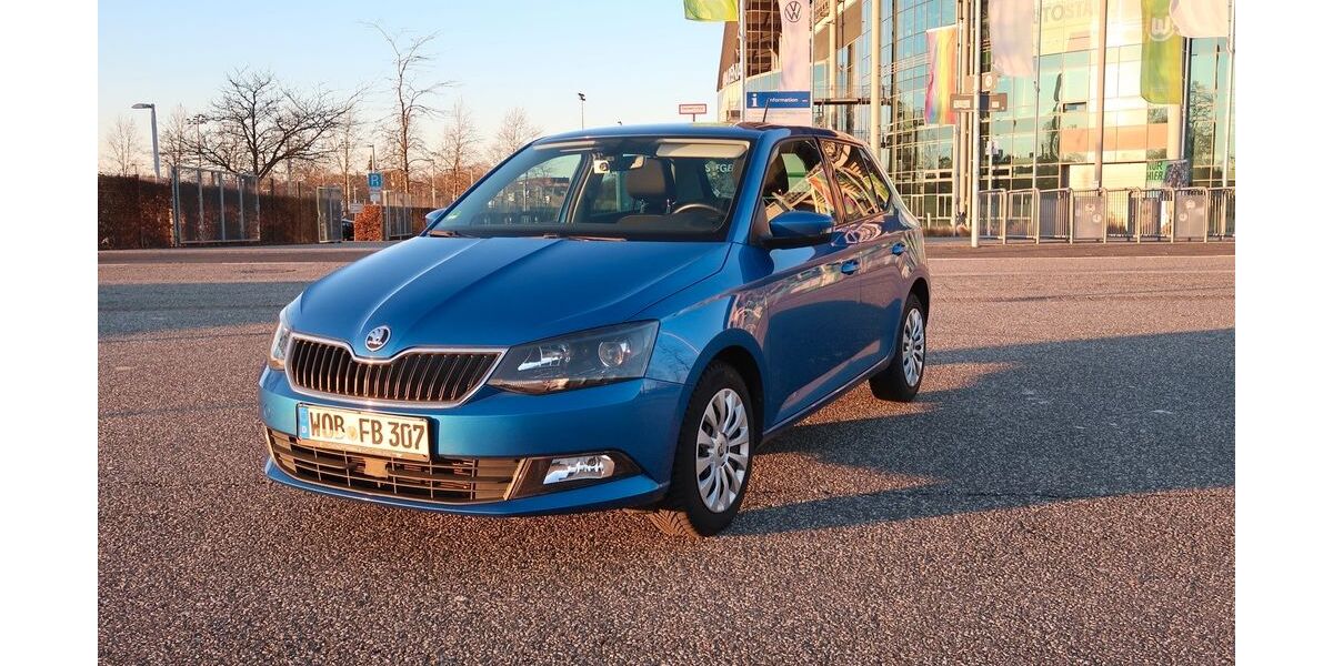 Skoda Fabia 157.000 km 7.899 &euro; Wolfsburg 38444