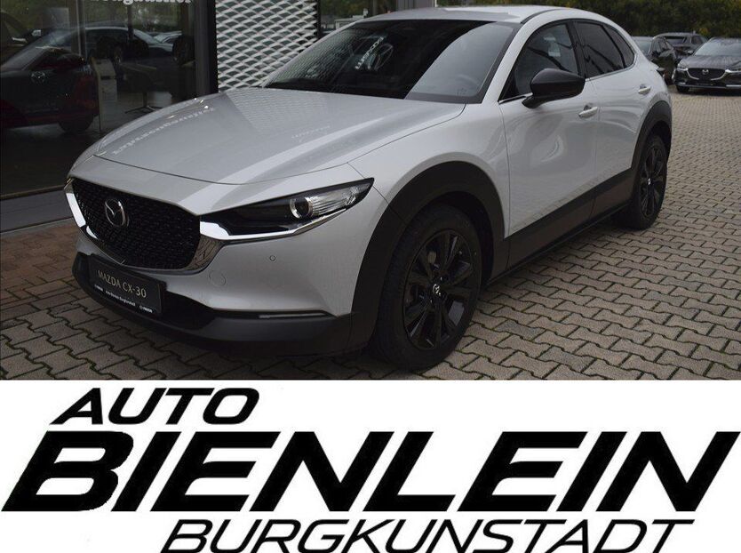 CX-30