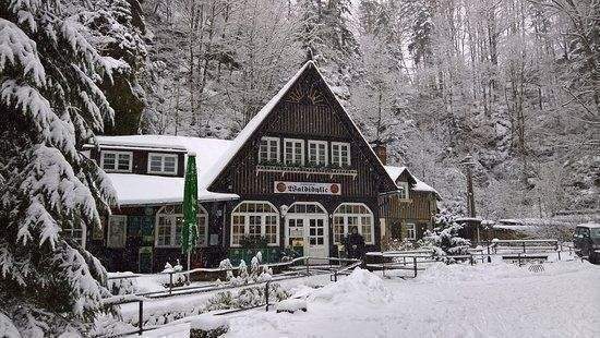 Gewerbeobjekt Lohmen Uttewalde - 299.000&euro; | Angebot:25336345