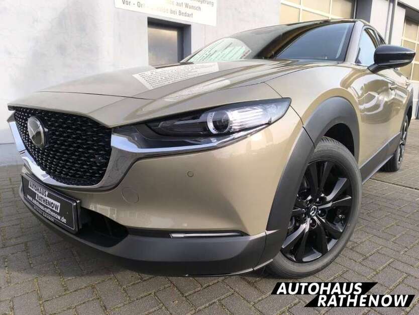 CX-30
