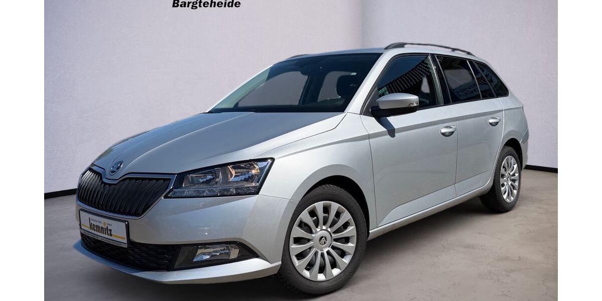 Skoda Fabia 53.515 km 15.880 &euro; Bargteheide 22941