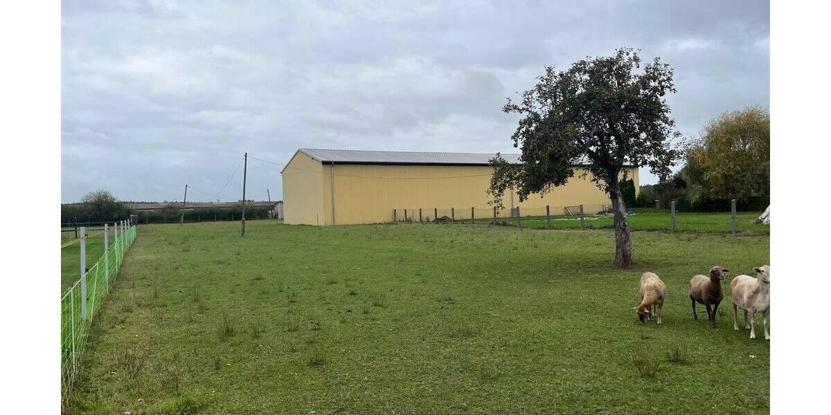 Grundstück Nichtewitz Nichtewitz - 20.000&euro; | Angebot:25679415