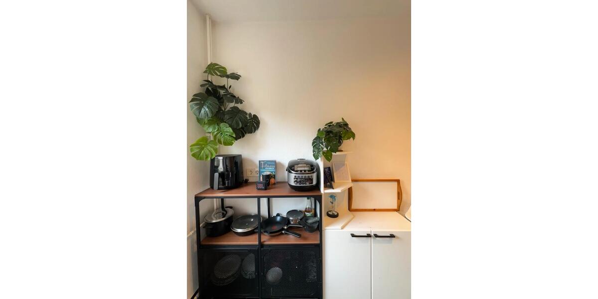 Erdgeschoßwohnung Braunschweig Nordstadt - 2 Zimmer, 46 m&sup2;, 609&euro; | Angebot:25512116