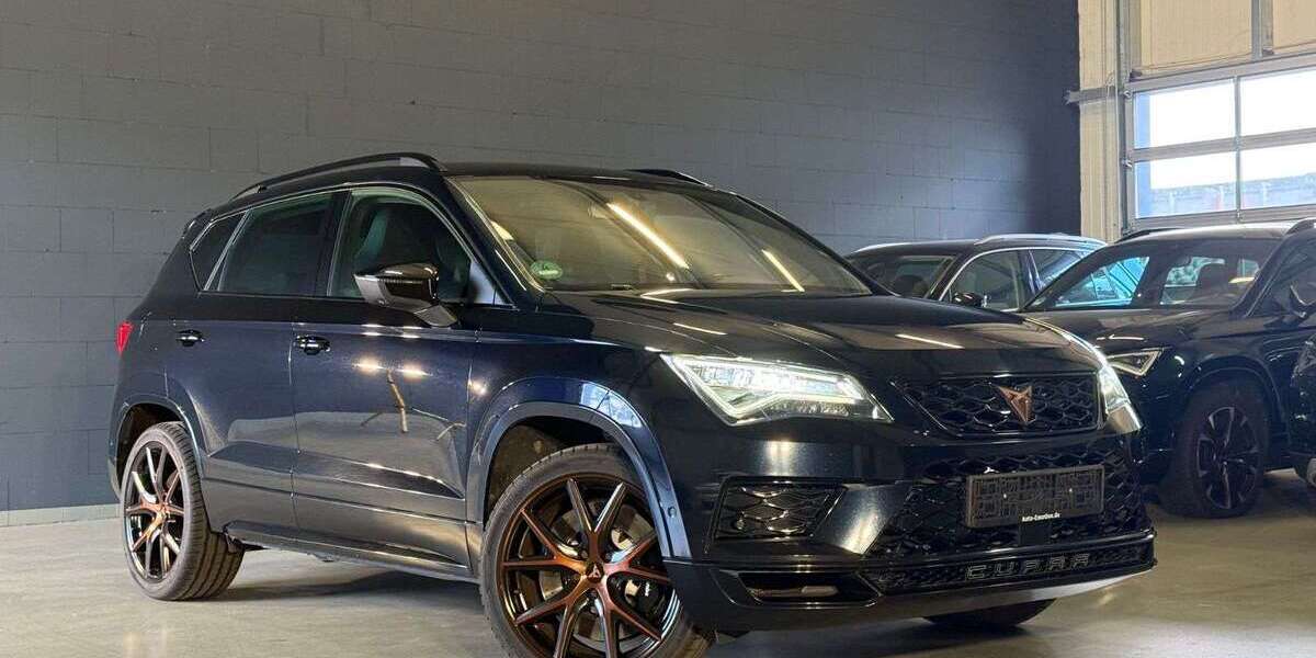 Cupra Ateca 119.500 km 22.890 &euro; Maintal 63477