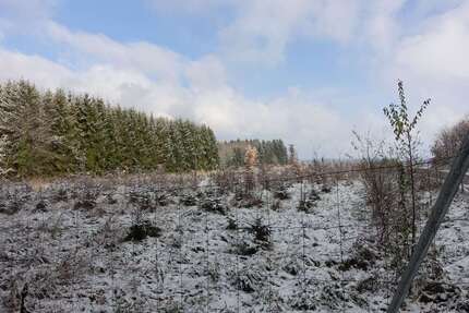 Grundstück zu verkaufen in Schnaitsee 80.000 € 6600 m² zimmer