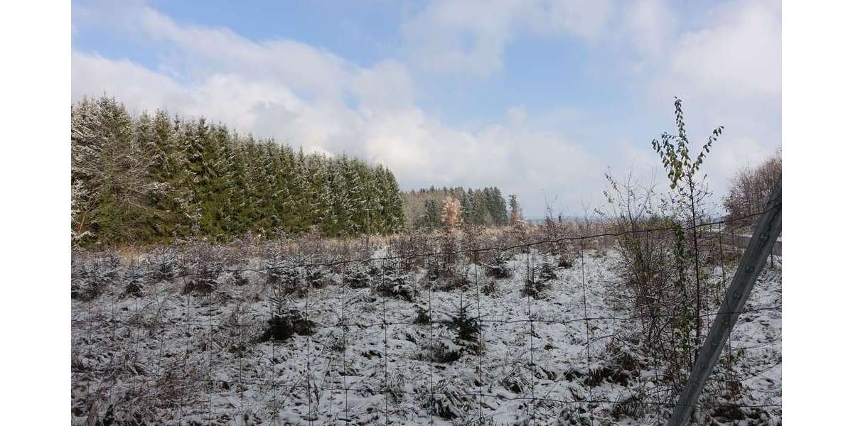 Grundstück zu verkaufen in Schnaitsee 80.000 € 6600 m² zimmer