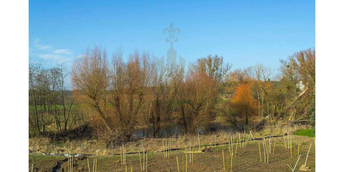 Etagenwohnung Biesenthal - 2 Zimmer, 53 m&sup2;, 810&euro; | Angebot:25140753