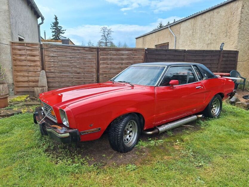 Mustang
