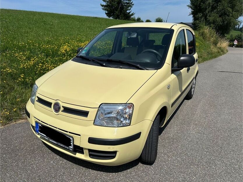 Panda