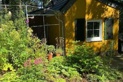 Haus Much - 3 Zimmer, 100 m&sup2;, 1.250&euro; | Angebot:26363795