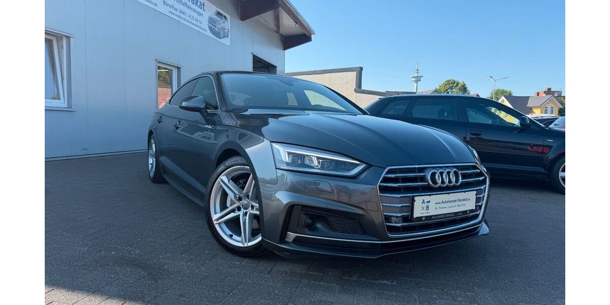 Audi A5 179.480 km 21.290 &euro; Heide 25746