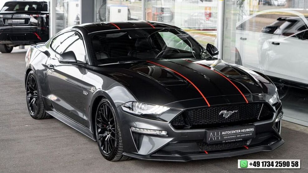 Mustang