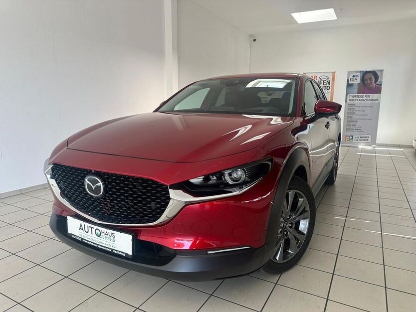 CX-30